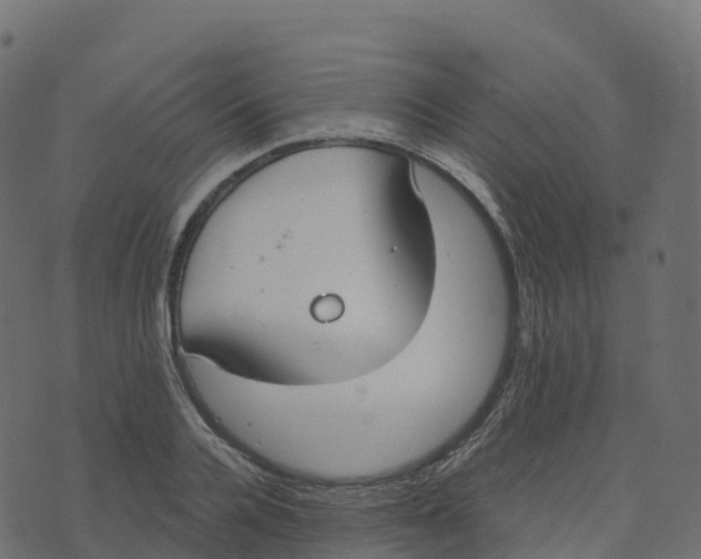 X0000073410936200608251521