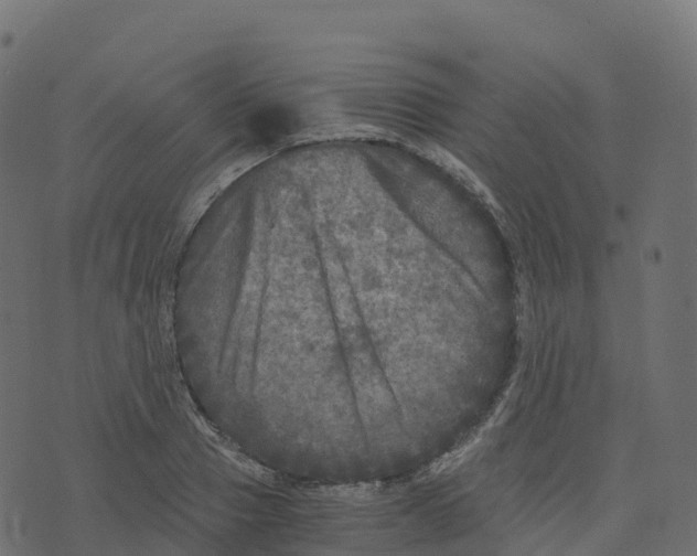 X0000073410937200608251521