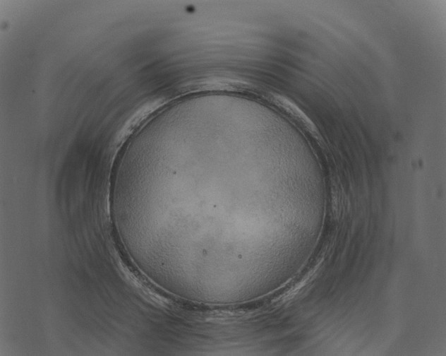 X0000073410938200608251521