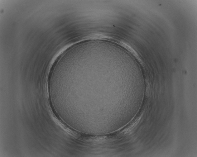 X0000073410939200608251521