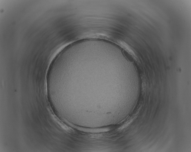 X0000073410940200608251521