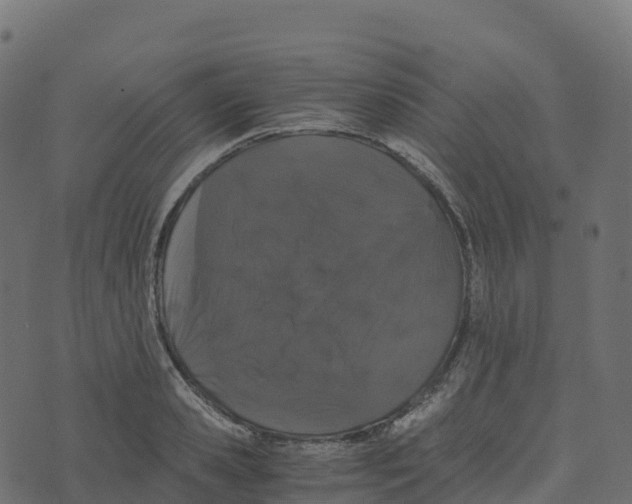 X0000073410941200608251521