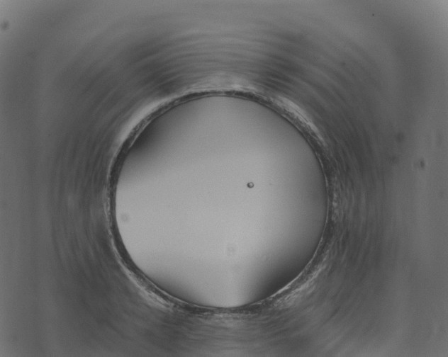 X0000073410942200608251521