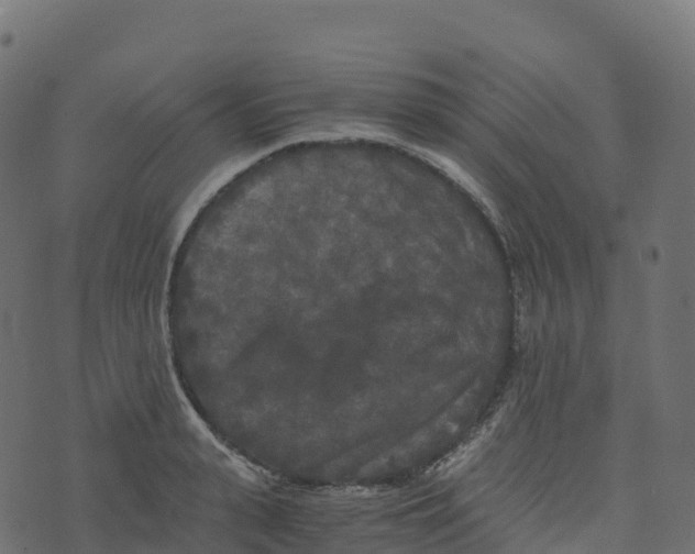 X0000073410943200608251521