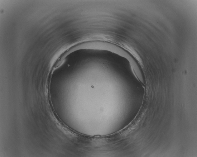 X0000073410944200608251521