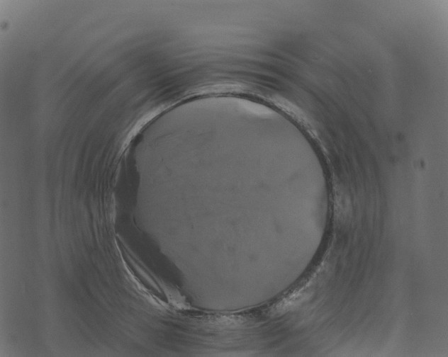 X0000073410945200608251521