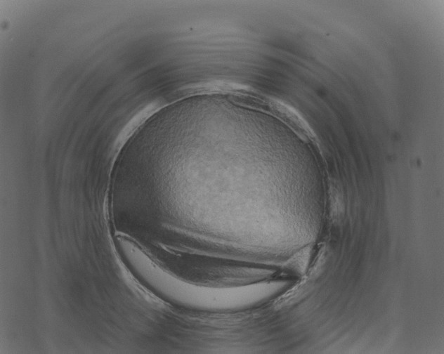 X0000073410946200608251521