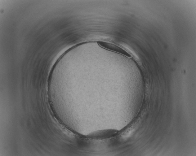 X0000073410948200608251521