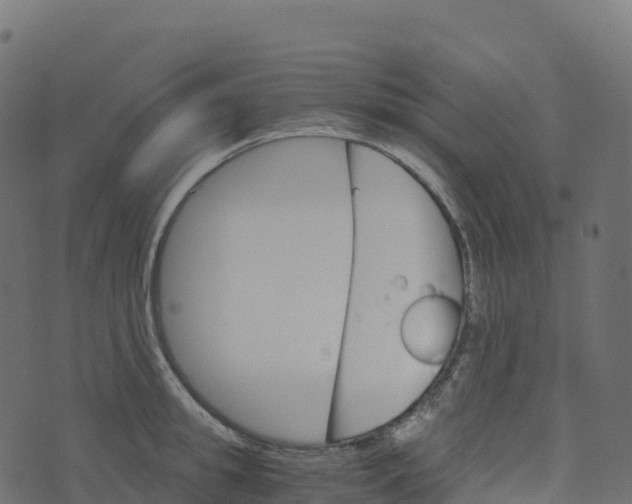 X0000073410949200608251521