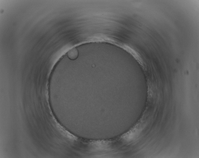 X0000073410950200608251521