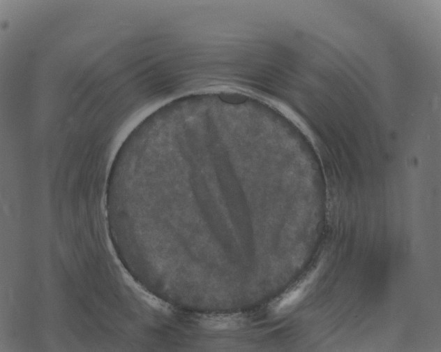 X0000073410951200608251521