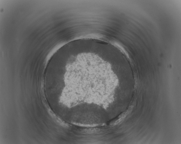 X0000073410952200608251521