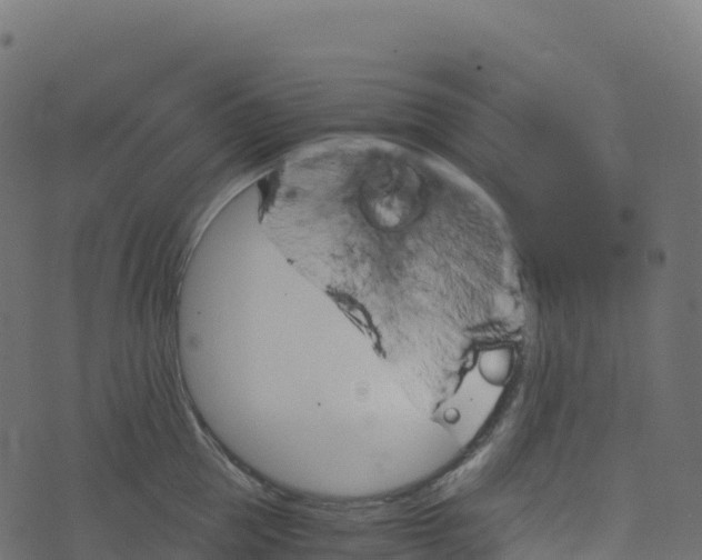 X0000073410953200608251521