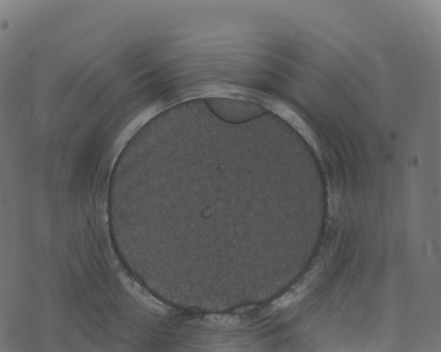 X0000073410954200608251521