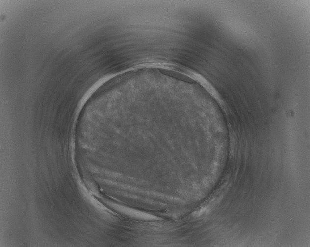 X0000073410955200608251521