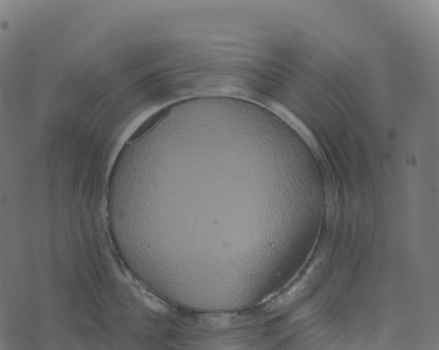 X0000073410956200608251521