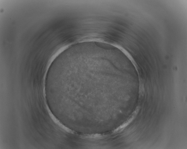 X0000073410957200608251521