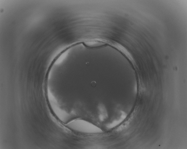 X0000073410958200608251521