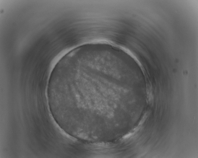 X0000073410959200608251521