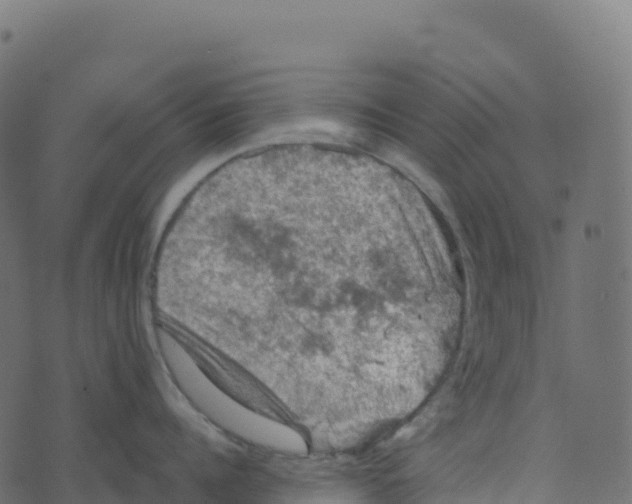 X0000073410960200608251521