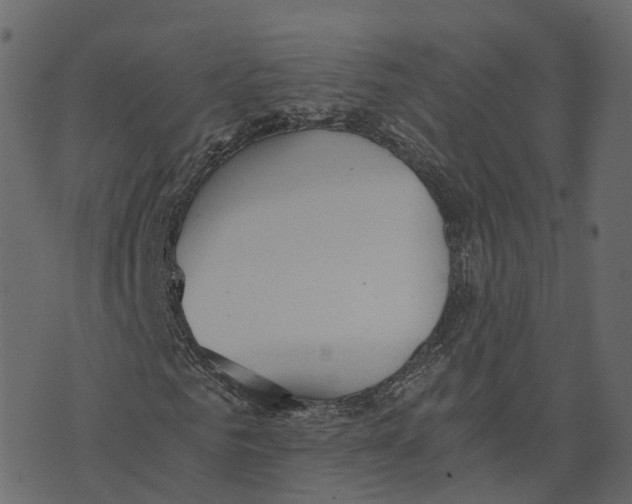 X0000073410961200608251521