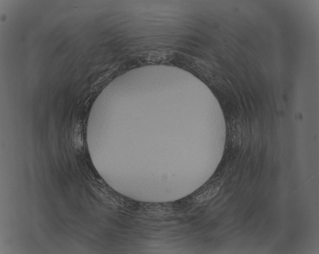 X0000073410962200608251521