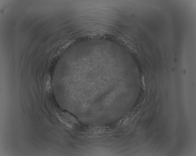 X0000073410963200608251521