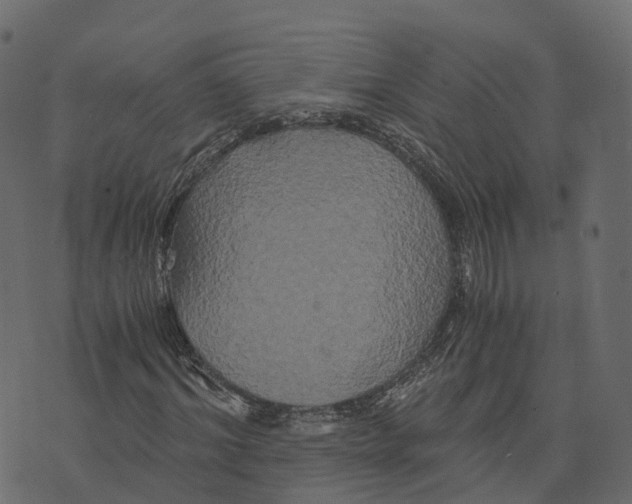 X0000073410964200608251521