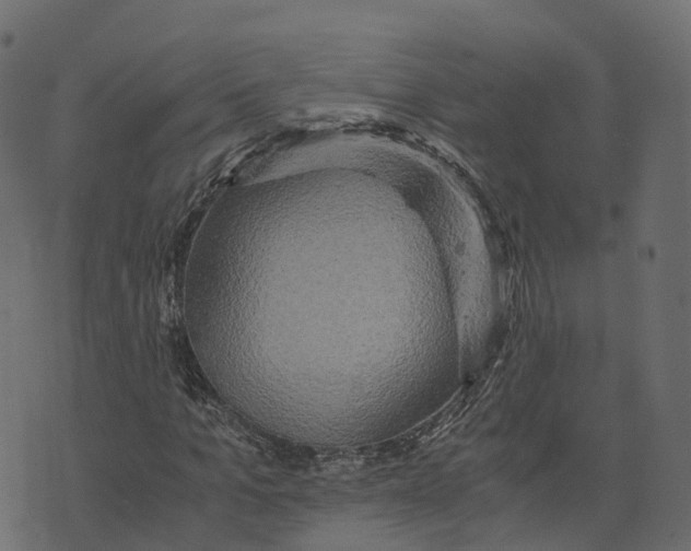 X0000073410965200608251521