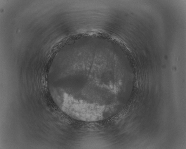 X0000073410966200608251521