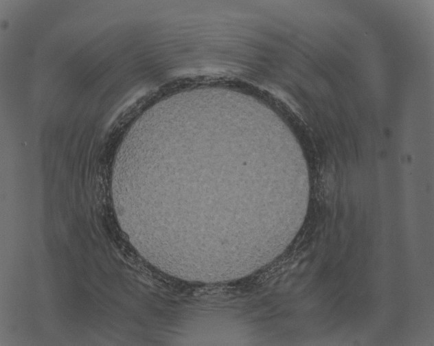 X0000073410967200608251521