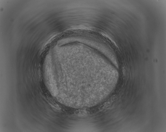 X0000073410968200608251521