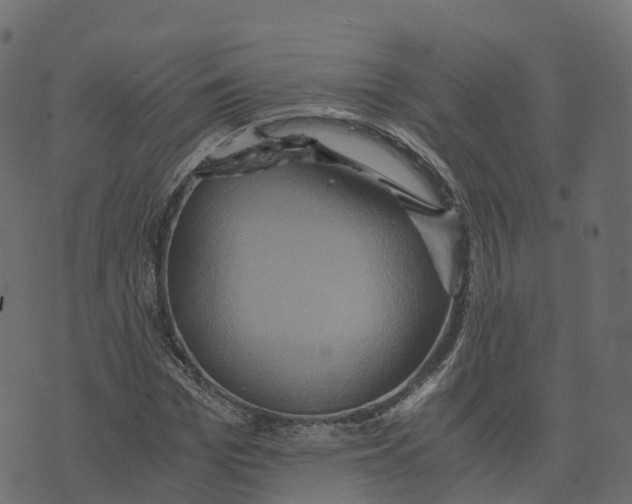 X0000073410969200608251521