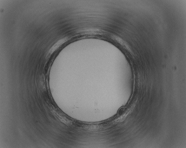 X0000073410970200608251521