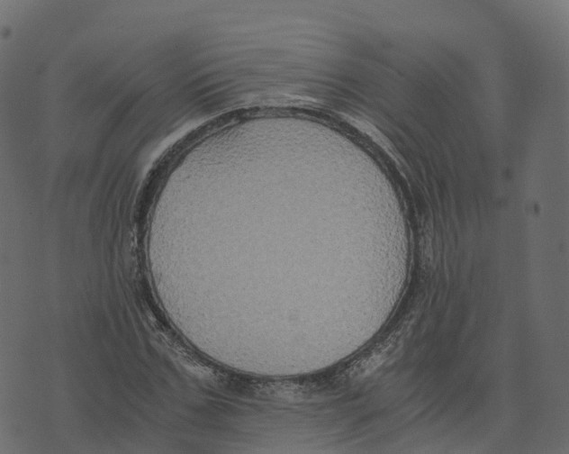 X0000073410971200608251521