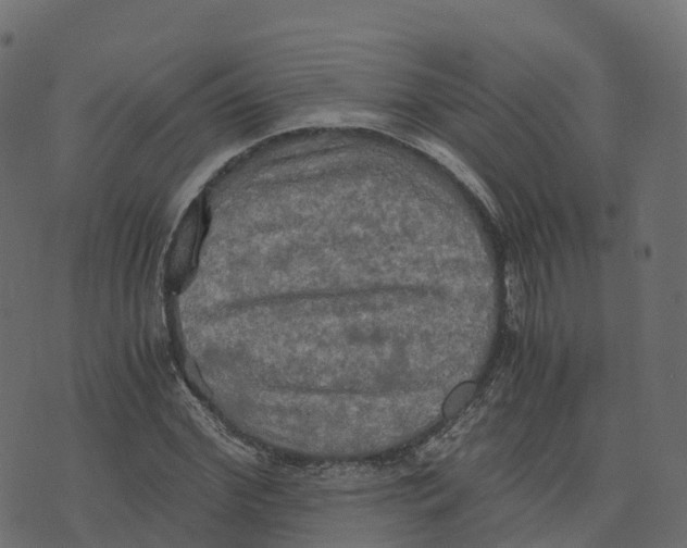 X0000073410972200608251521