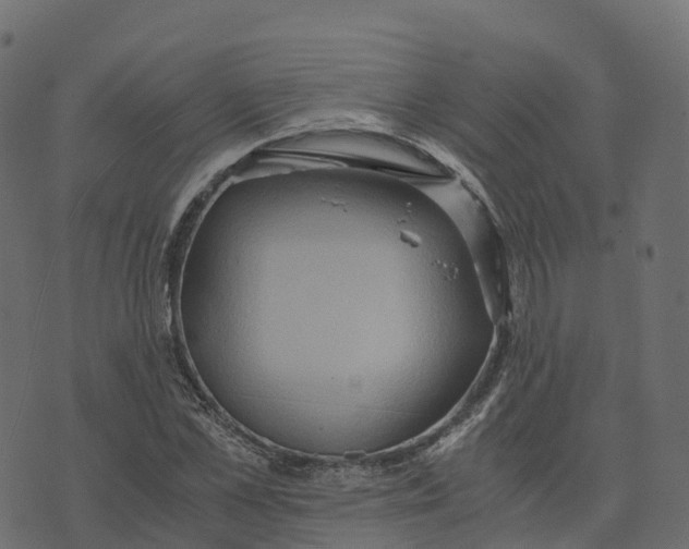 X0000073410973200608251520