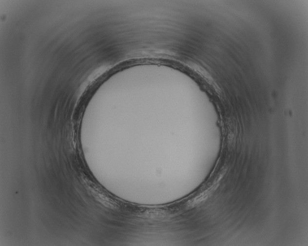 X0000073410974200608251520