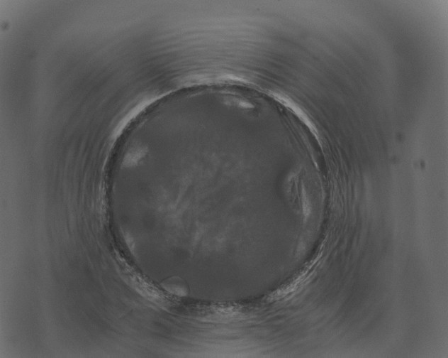 X0000073410975200608251520