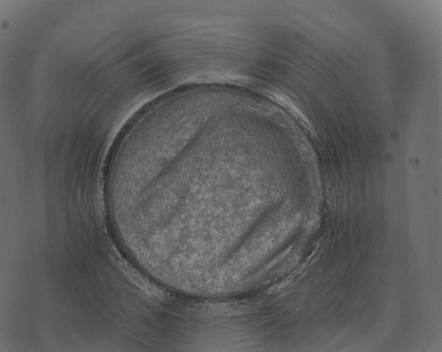 X0000073410976200608251520