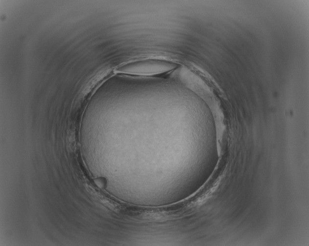 X0000073410977200608251520