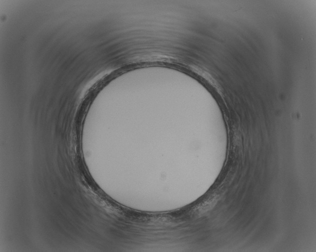 X0000073410979200608251520