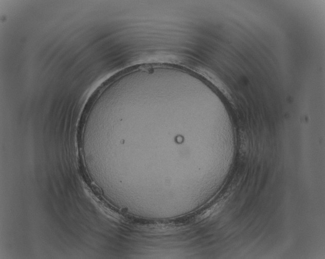 X0000073410980200608251520