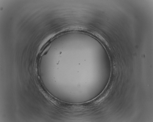 X0000073410981200608251520