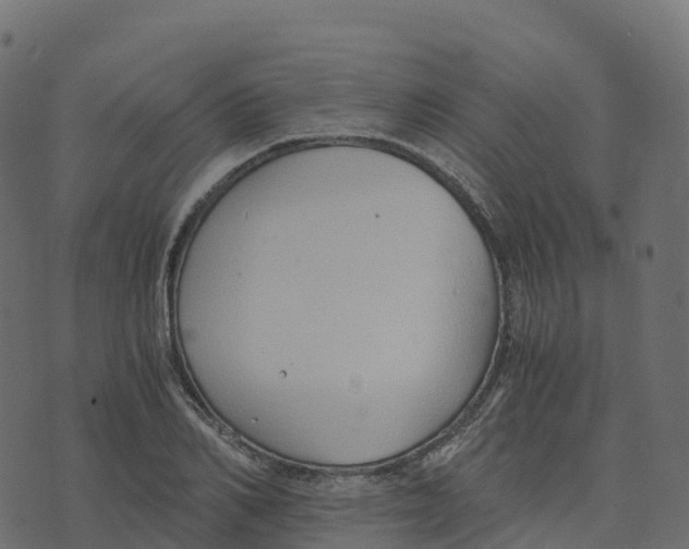 X0000073410982200608251520