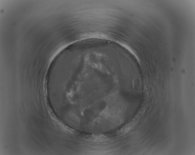 X0000073410983200608251520