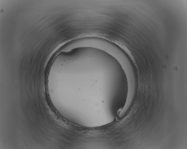 X0000073410984200608251520