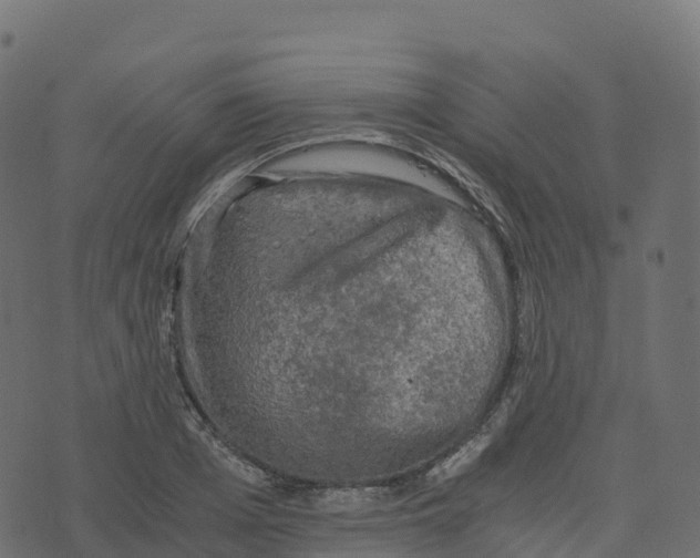 X0000073410985200608251520