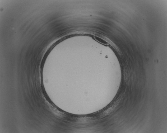 X0000073410988200608251520