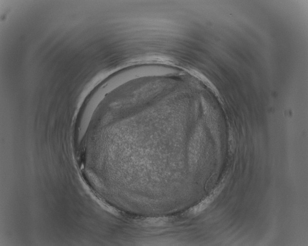 X0000073410989200608251520